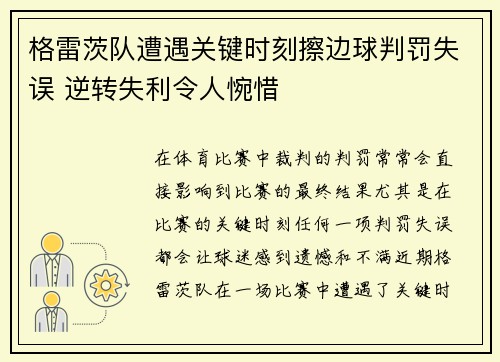 格雷茨队遭遇关键时刻擦边球判罚失误 逆转失利令人惋惜