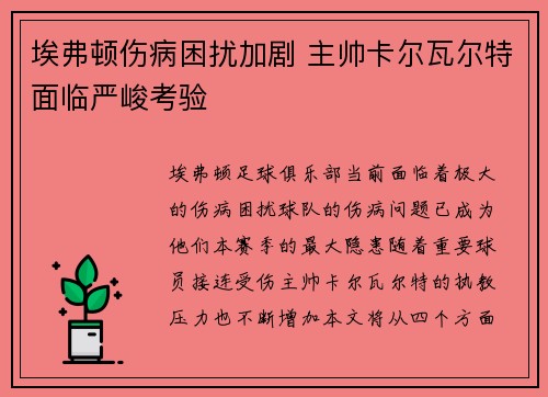 埃弗顿伤病困扰加剧 主帅卡尔瓦尔特面临严峻考验